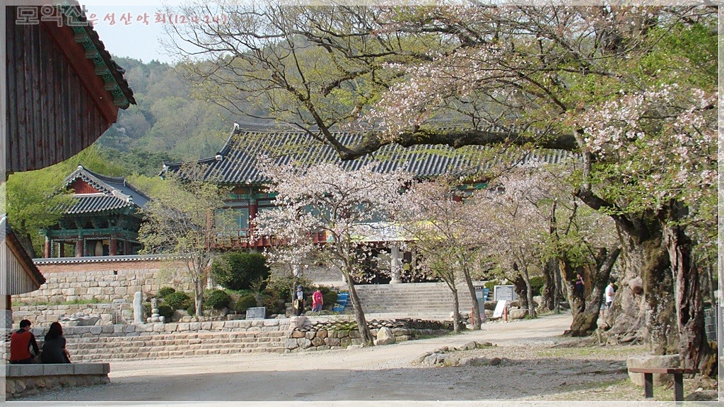 뽕밭2 이미지