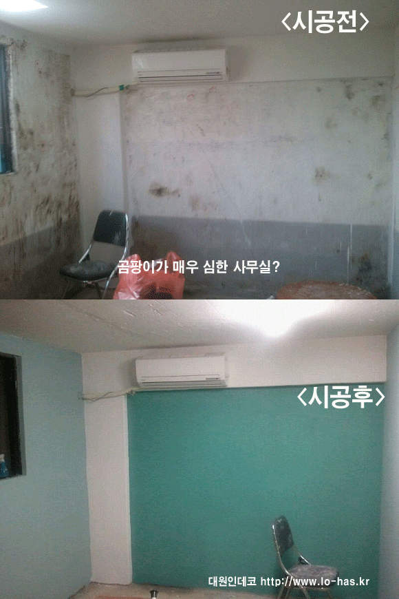 천연향기 이미지