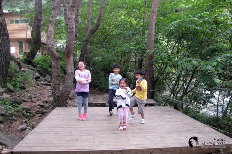 가리왕산자연휴양림 이미지