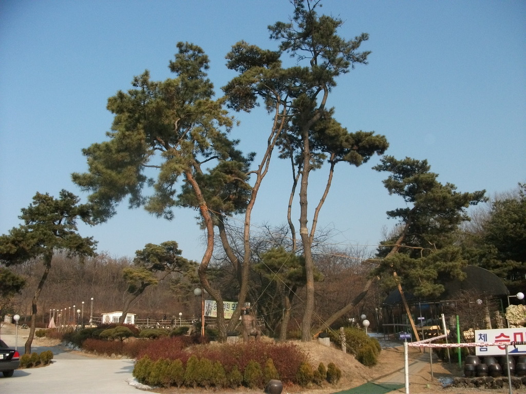 대교가든 이미지