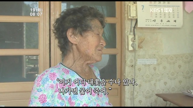 고양이 구박하는 훈할머니.JPG | 인스티즈