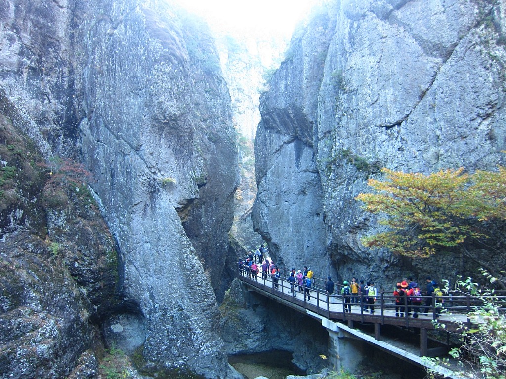 하늘땅사람들 이미지