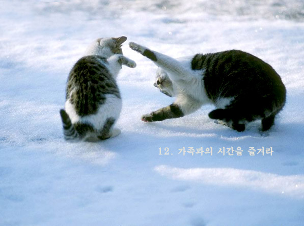 먹고합시다 이미지