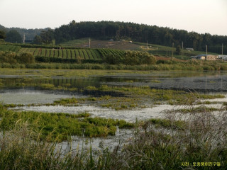 남면카센타 이미지