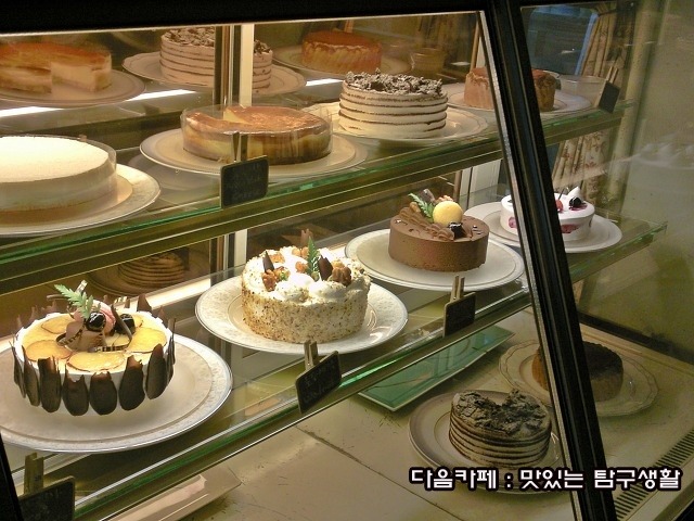 안나비니 이미지