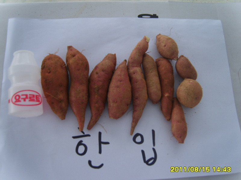 땅끝농협 이미지