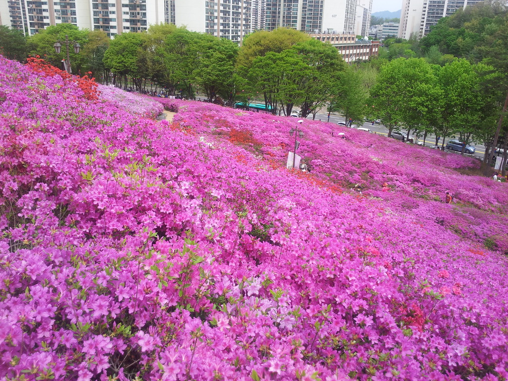 울산테마식물·수목원 이미지