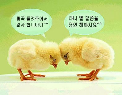 토비아 이미지