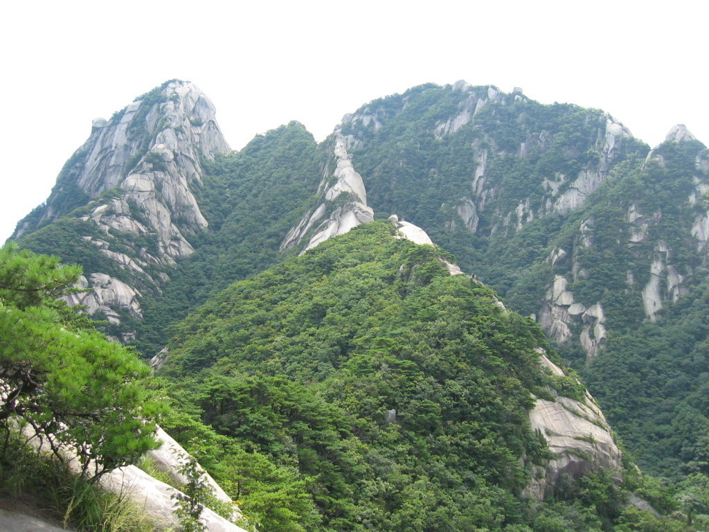 (주)신동영 이미지