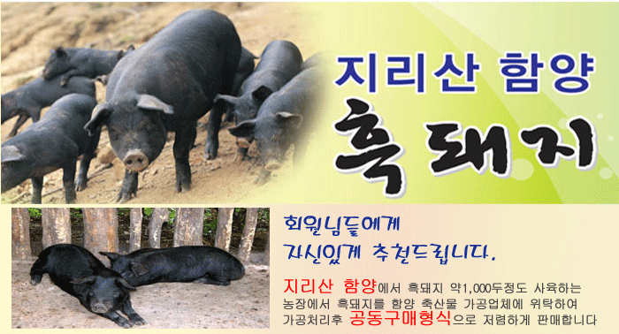 지리산흑돼지 이미지