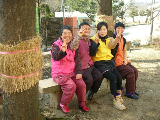 사단법인 전통문화보존회 이미지