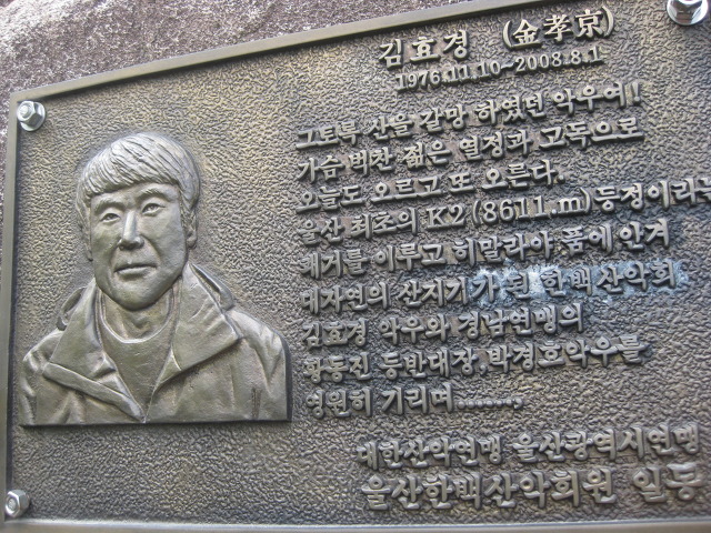 꿈꾸는소나무 이미지