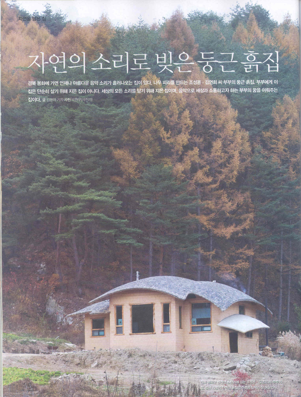 나무뮤직 이미지