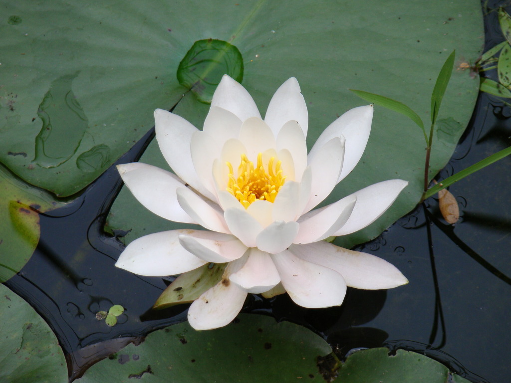 참사랑 이미지