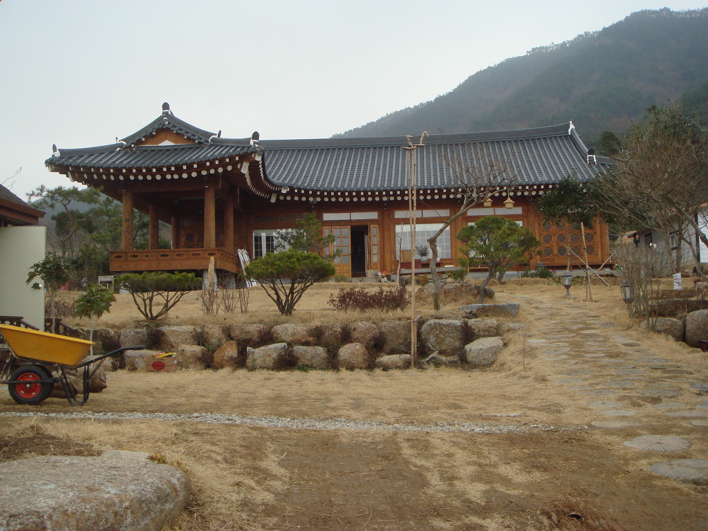 순천만 숲3 이미지