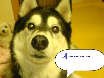 안녕하세요 이미지