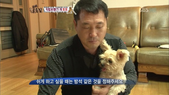 [동물농장] 지팡이 짚고 걷는 심봉사 개 또또라오 | 인스티즈