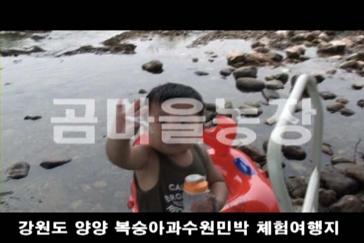 곰마을민박 이미지
