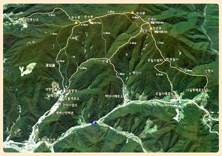 동경장 이미지
