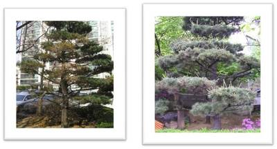 (주)그린환경 이미지