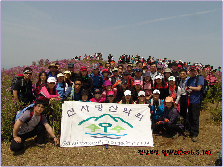 일림 이미지