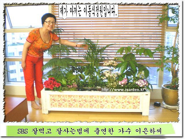 정원플랜트 이미지