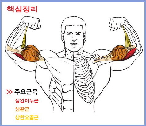 드래그 이미지