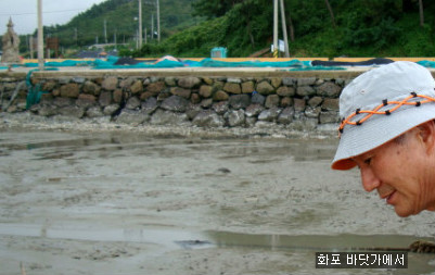 역전꼬막 이미지
