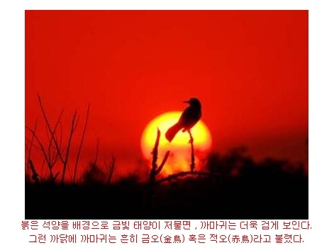 용차이나 이미지