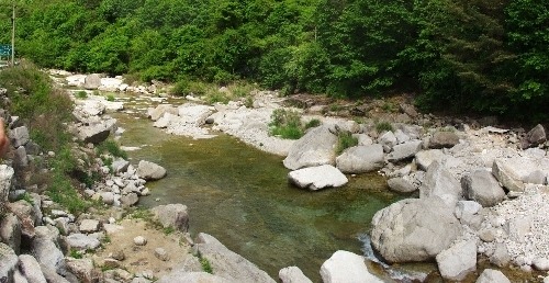 백운산토종꿀 이미지