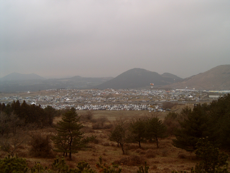 휘석지질 이미지