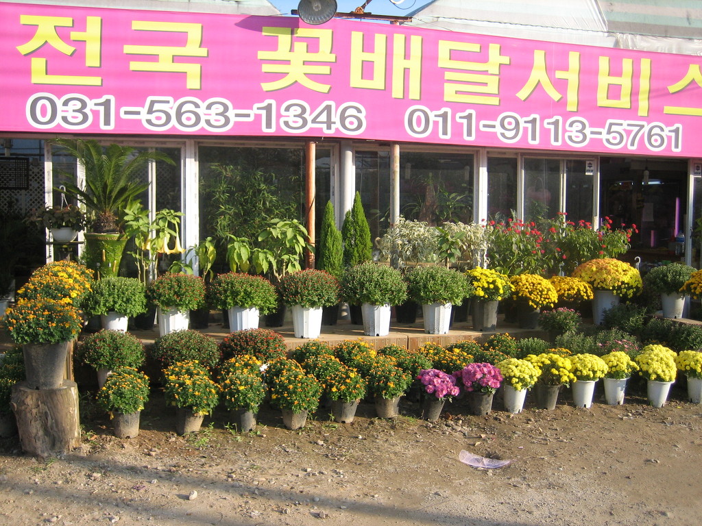 해피플라워 이미지