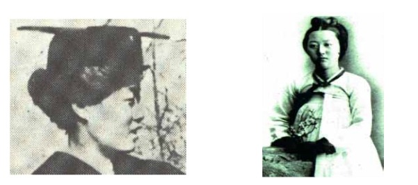 팜프헤어 이미지