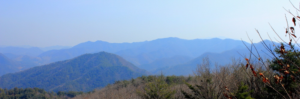 대전시경계종주 이미지