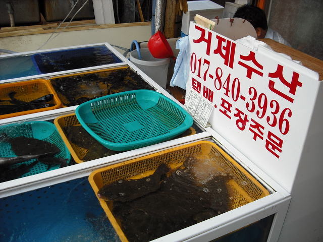 거제수산 이미지