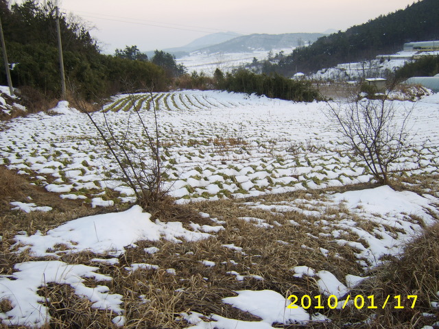나눔농장 이미지