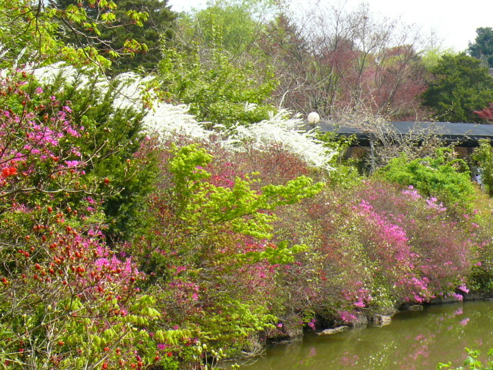 삼돌이 이미지