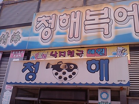 청해복어 이미지