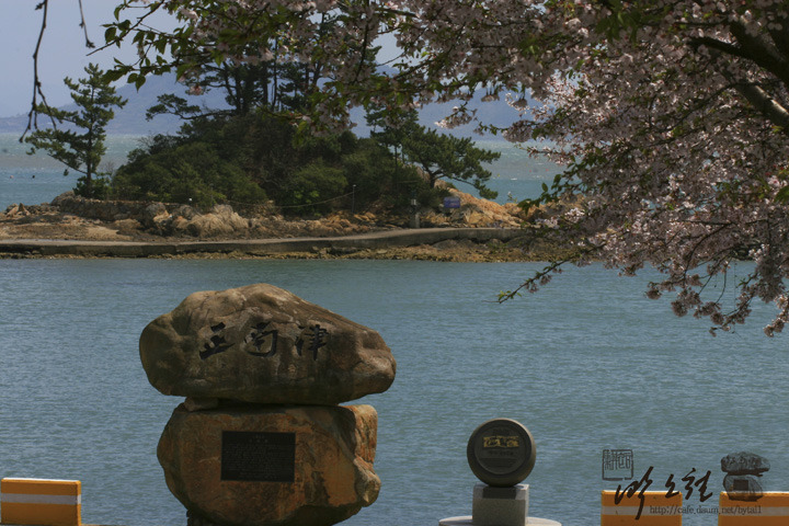 cafe 정남진 이미지