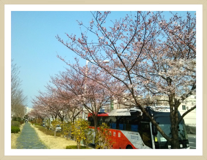 도심숲 이미지