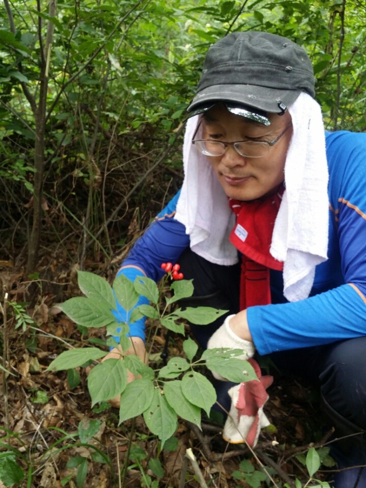 심 이미지