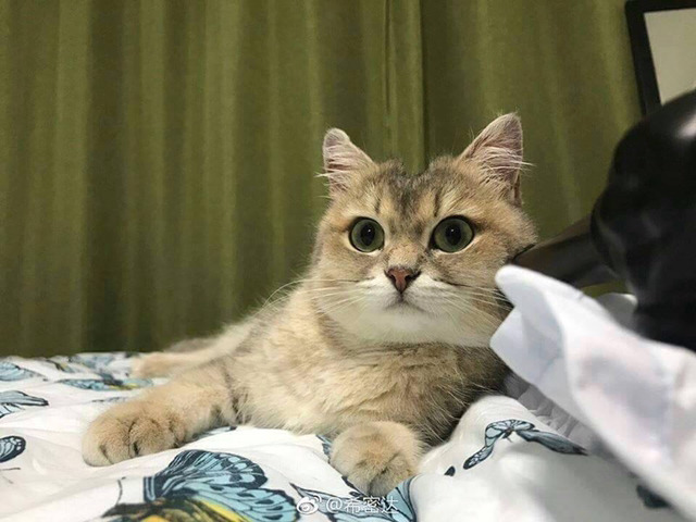 얌얌 이미지
