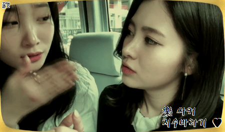 [다이아] V앱 움짤 (채연+예빈 GIF) | 인스티즈