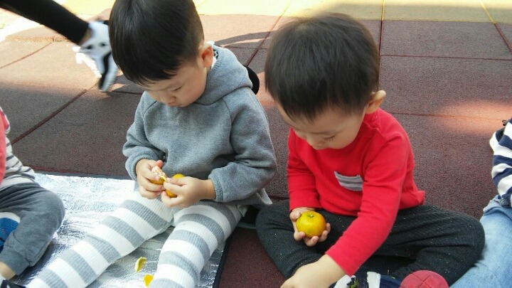 예담인 이미지