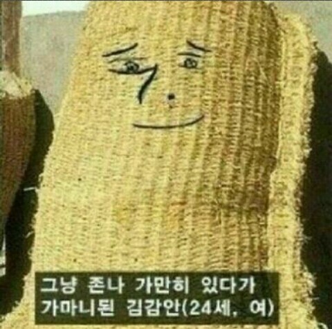 가마니 이미지