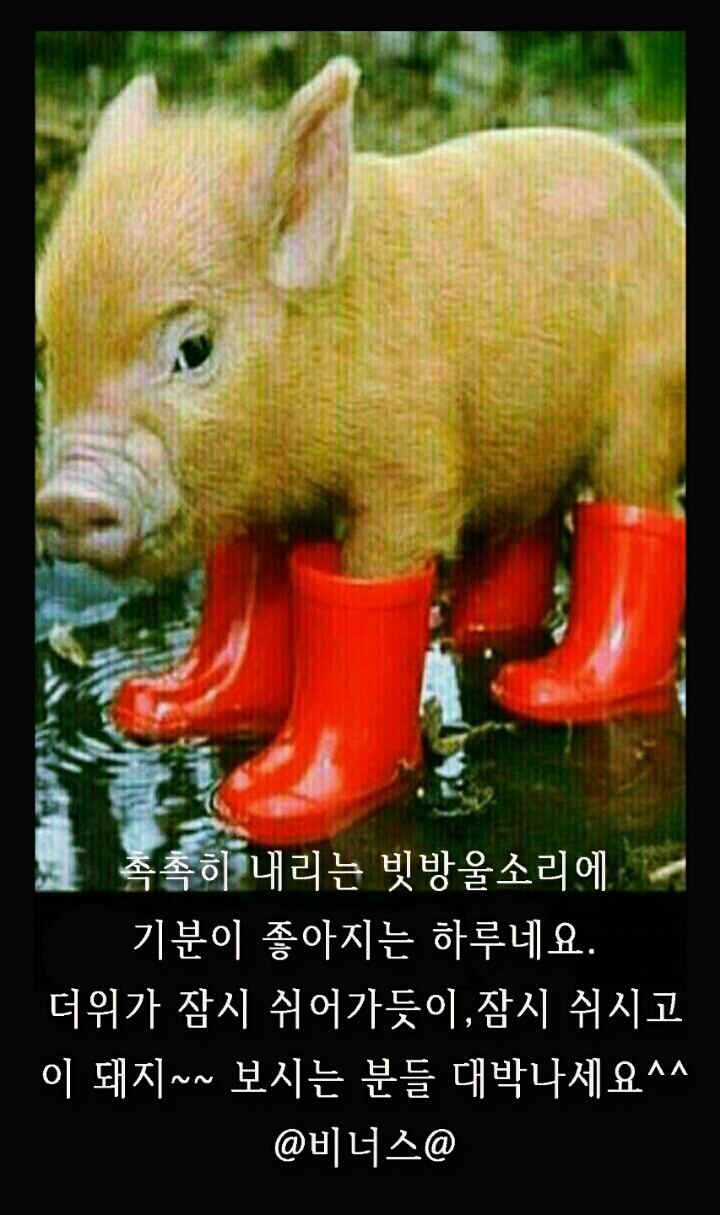 외양간 이미지