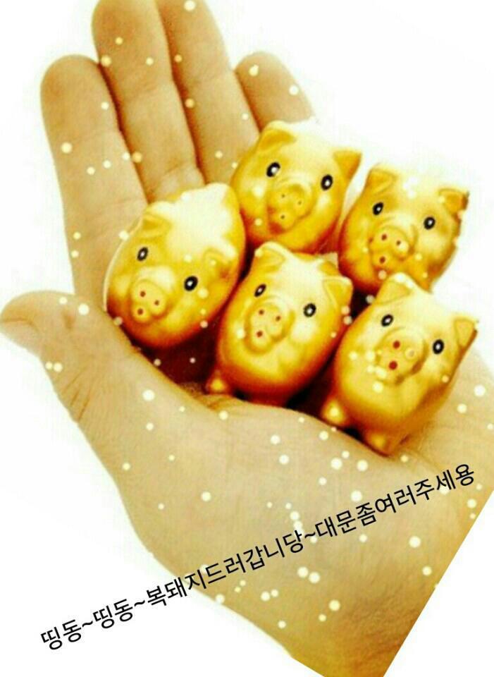 하이소 이미지