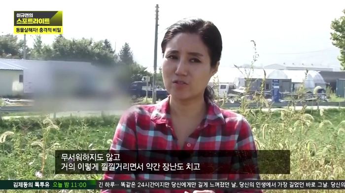 개 50여마리를 담뱃불로 지지고 던지고 매질해 살해한 남고생 7명.jpg | 인스티즈