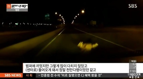 차에 치인 강아지.jpgif (훈훈주의) | 인스티즈