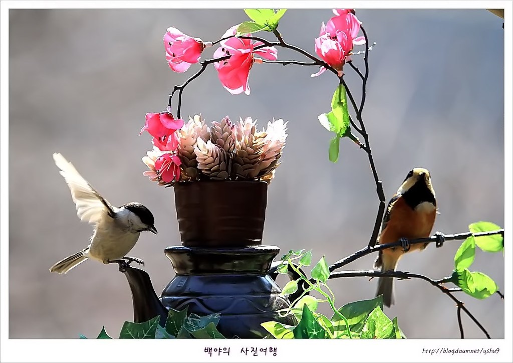 아름다운연출 이미지